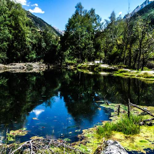 Photo #5654096
