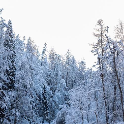 Photo #5654548