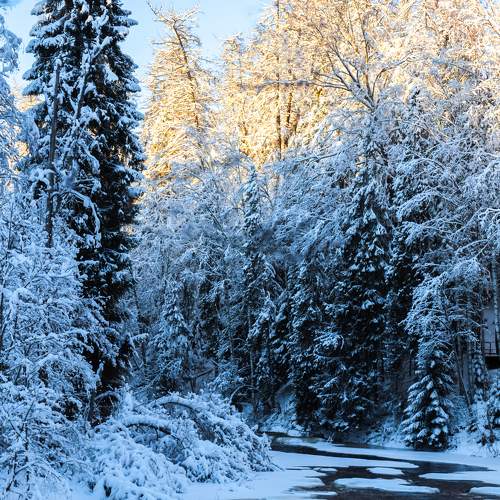 Photo #5654556