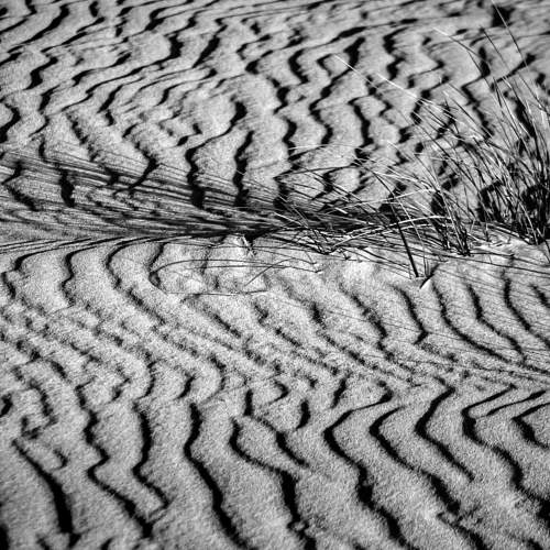 The Signs of the Sand land
