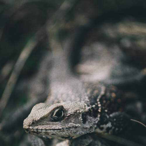 Photo #5655186