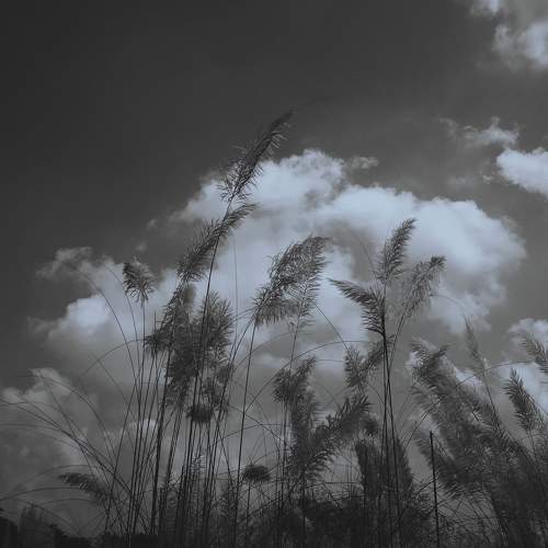 Photo #5655257