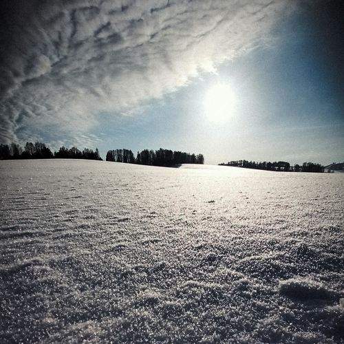 Photo #5655346