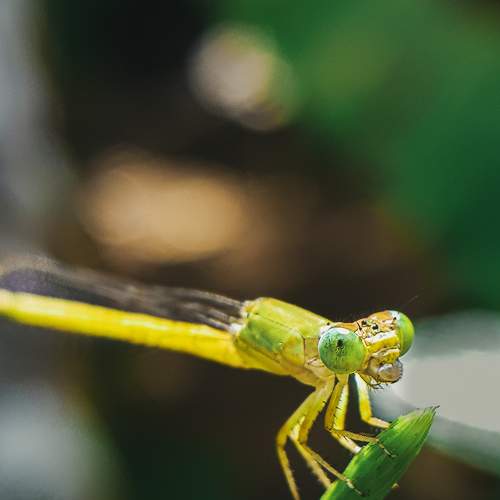 Photo #5655532