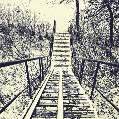 Photo #5655662