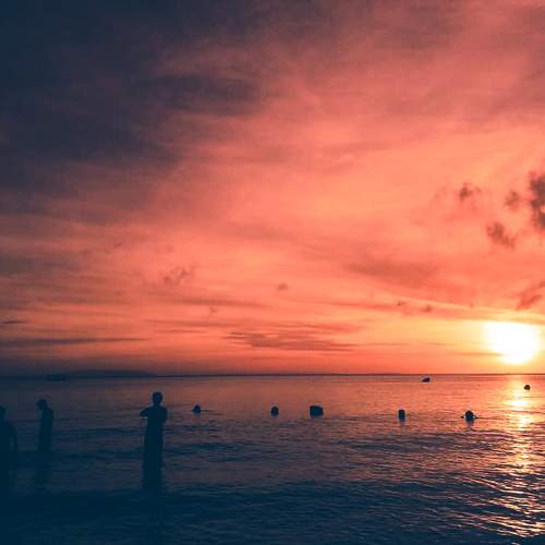 Photo #5655676