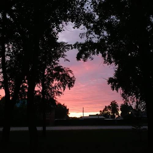 Photo #5656416