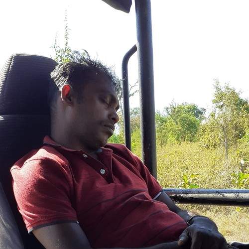 Photo #5656446