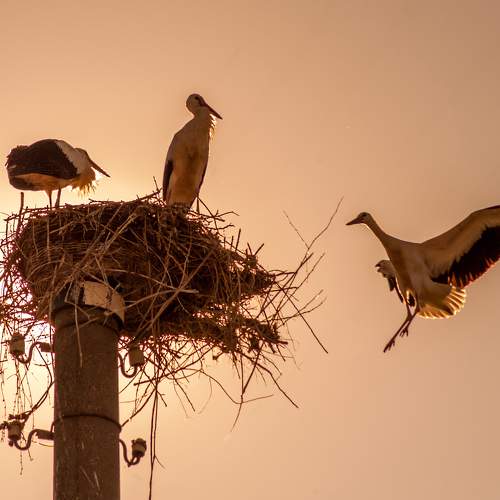 Photo #5656531
