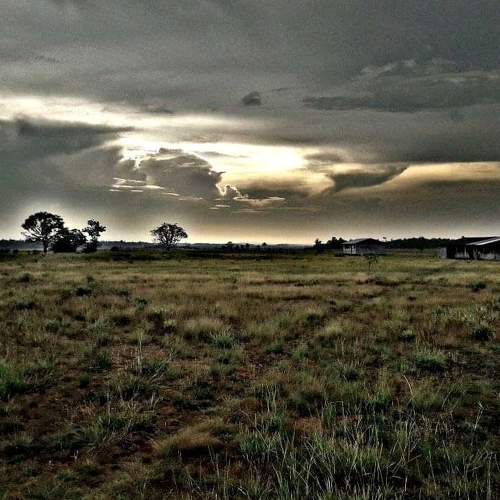 Photo #5656629