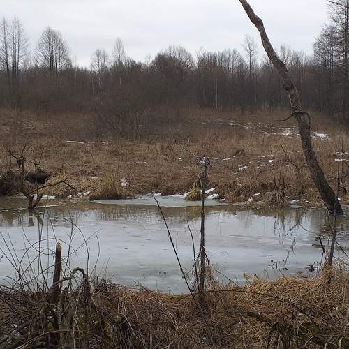 Photo #5656639