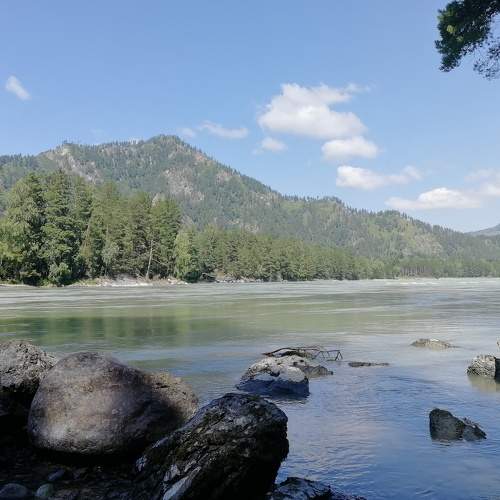 Photo #5656679
