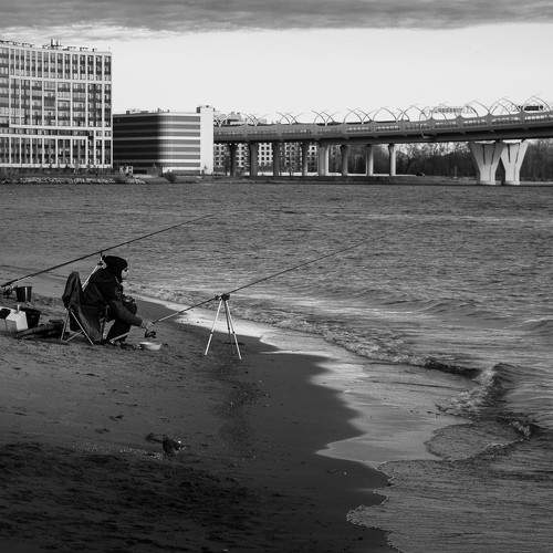 Photo #5656786