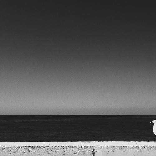 Photo #5656804