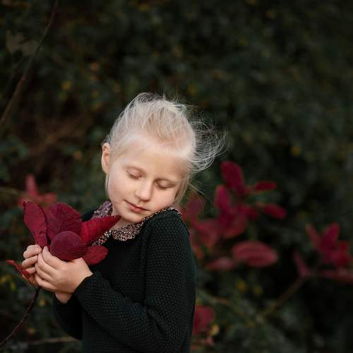 Photo #5656847