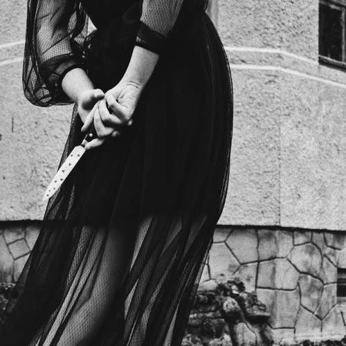 Photo #5656855
