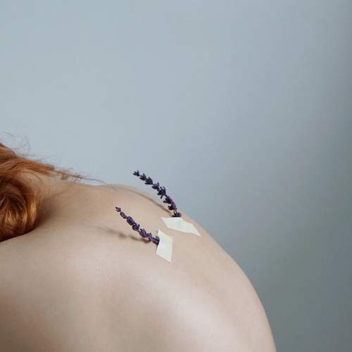 Photo #5656860