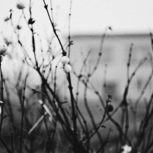 Photo #5656863