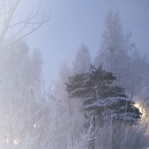 Photo #5657187