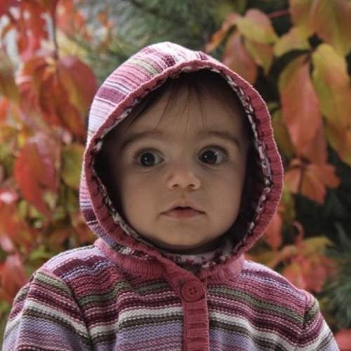 Photo #5657209