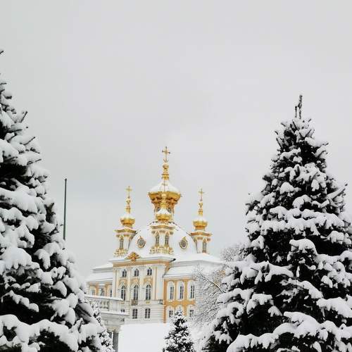 Photo #5657216