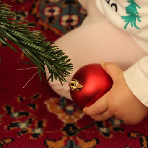 Photo #5657237