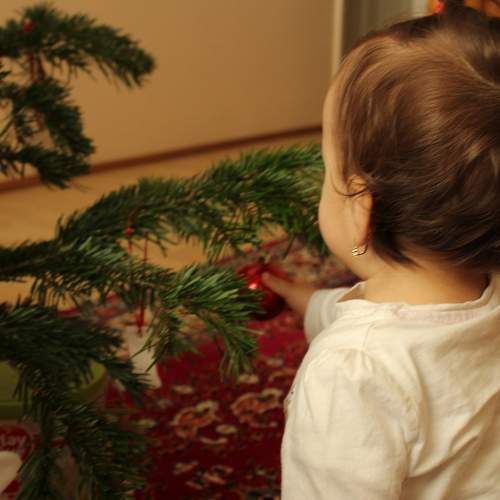 Photo #5657282