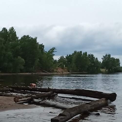Photo #5657324