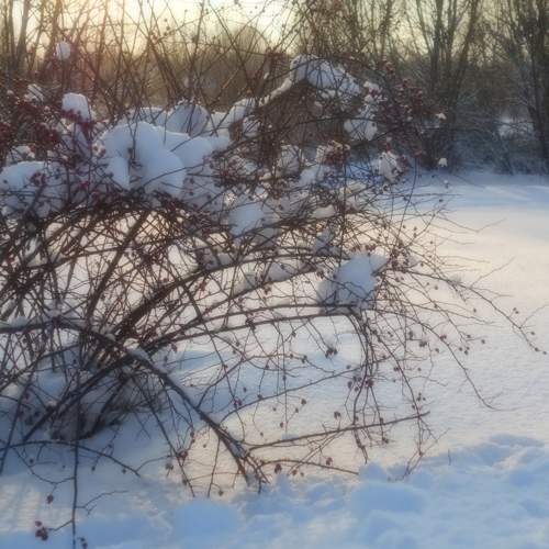 Photo #5657355