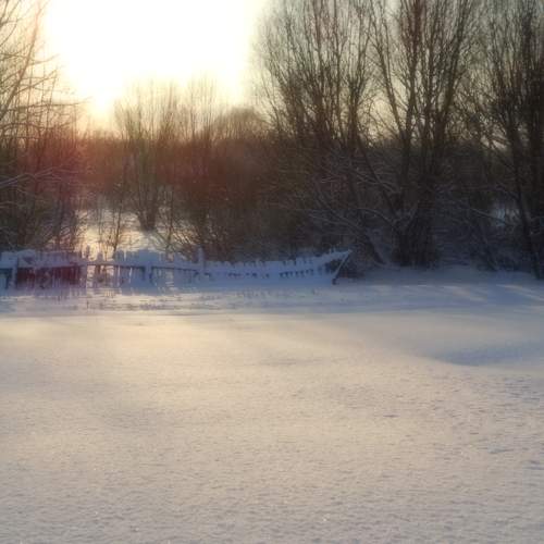 Photo #5657357