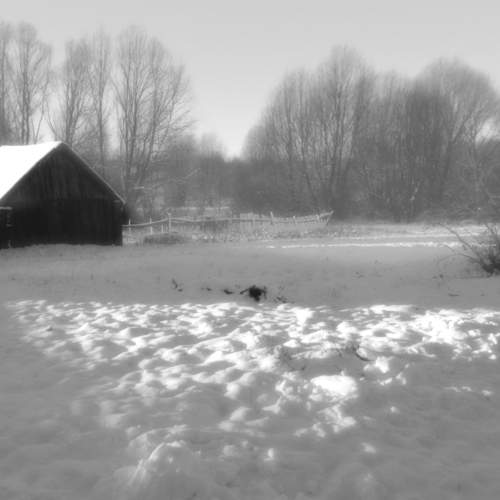 Photo #5657399