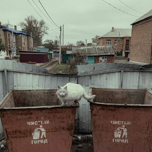 Смотрящий за чистотой