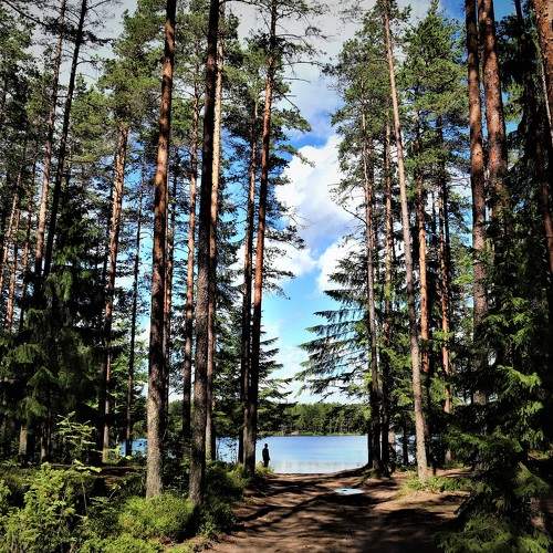 Photo #5658590