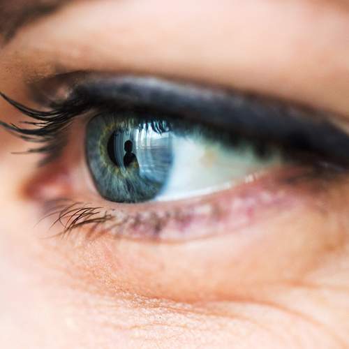 Photo #5659057