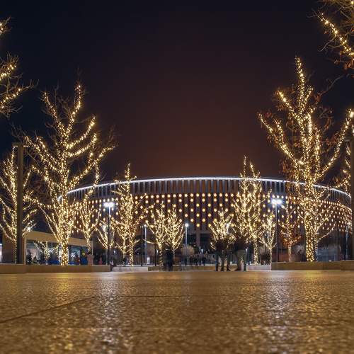 Photo #5659374