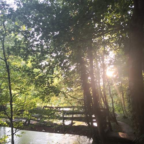 Photo #5659485