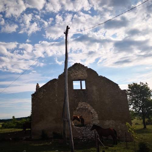 Photo #5659487