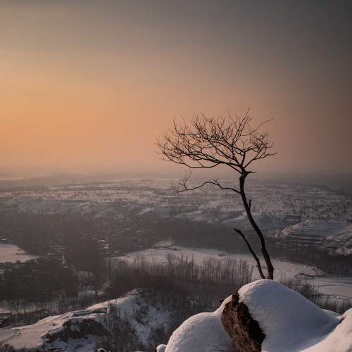 Photo #5659521