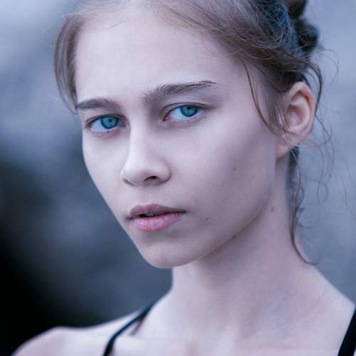 Photo #5659661