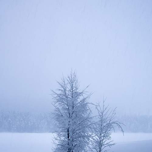 Photo #5660001
