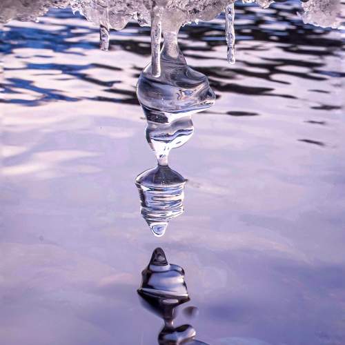 Photo #5660010