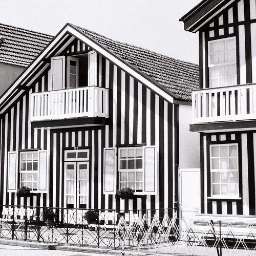 Photo #5660365