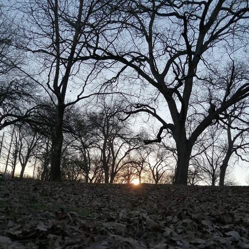 Photo #5660519