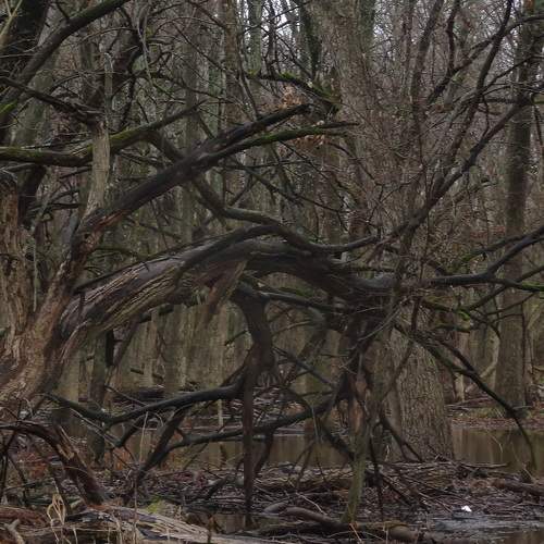 Photo #5660533