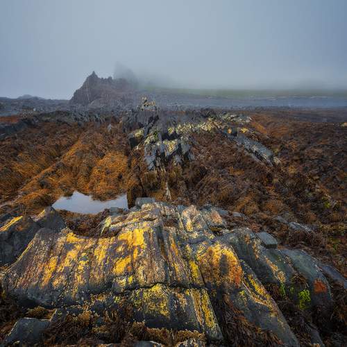 Photo #5660604