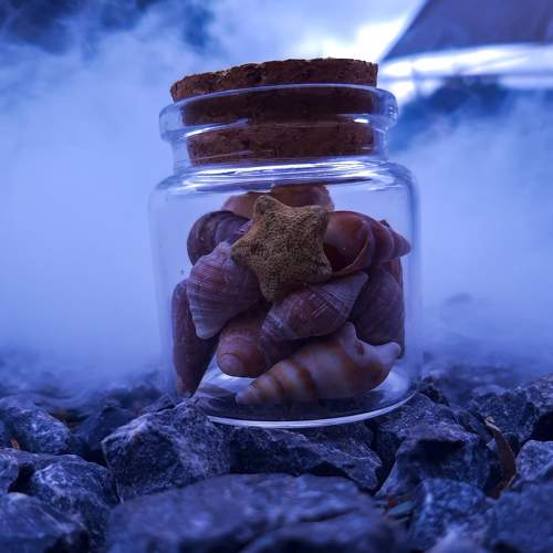 Photo #5660726