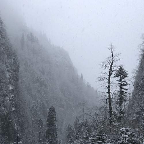 In searching of winter mood