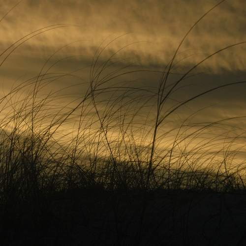 Photo #5661032