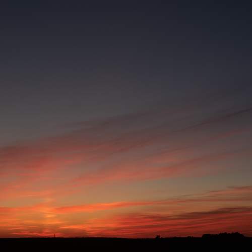 Photo #5661044