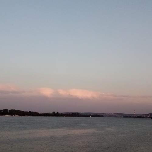 Photo #5661537